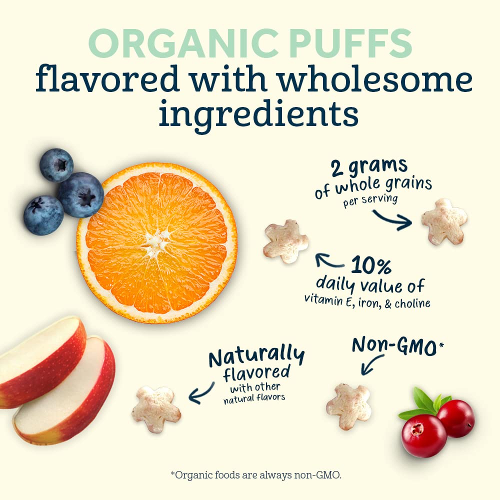 پاف ارگانیک گربر مدل انجیر Gerber