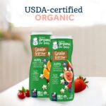 پاف گربر Gerber طعم زغال اخته و پرتقال