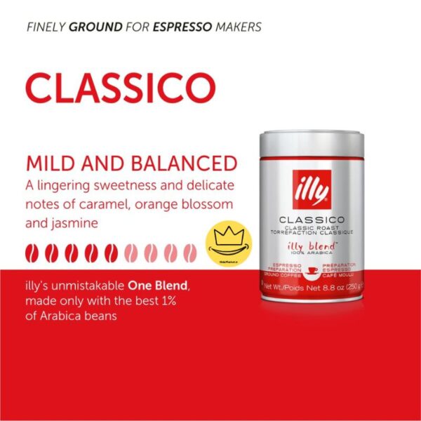 illy classico